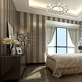 Soomj リビングルームベッドルームテレビの背景の壁米ホワイト色のためのヨーロッパの現代ミニマリストの高級ストライプ壁紙 53cm×10m (11084)
