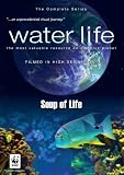 Water Life: Soup of Life