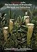 Field Guide to the Pitcher Plants of Peninsular Malaysia and Indochina
