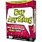 Say Anything Game