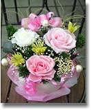 �܂邢��̃v���U�[�u�h�t�����[�i���C�g�s���N�j