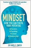Mindset: How You Can Fulfil Your Potential