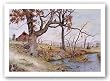 Autumn in Walker Valley by Howard Burger 17"x24.5" Art Print Poster