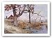 Autumn in Walker Valley by Howard Burger 17x24.5 Art Print Poster