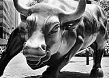 Hedge Fund Blog Book