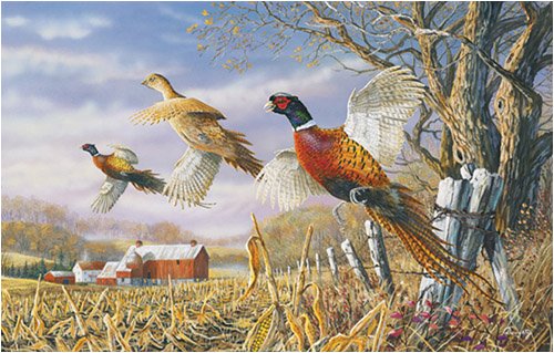 Terry Doughty High Field Flush Jigsaw Puzzle 1000pc