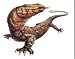 Gigantic Lace Lizard Reptile (varanus Giganteus) - 60