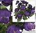 Eight 10" Pansy Artificial Silk Flower Bushes for Home Decoration