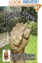 TEARS ON STONE, Book 2 of the Falcon's Bend Series
