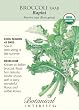 Broccoli Raab Certified Organic Heirloom Seeds 350 Seeds