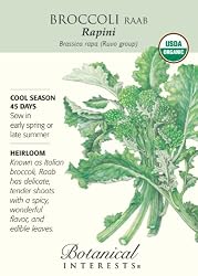 Broccoli Raab Certified Organic Heirloom Seeds 350 Seeds