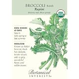 Broccoli Raab Rapini Certified Organic Seed