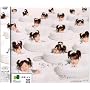 �V���O��V �u���̃t�[�K�v [DVD]