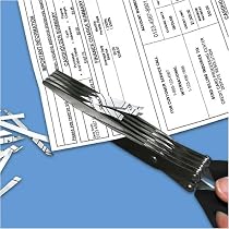 Multi-Blade Shredder Scissors