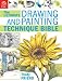 Ultimate Drawing & PaintingTechnique Bible