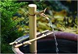 Bamboo Accents 12in. Adjust Spout and Pump Kit