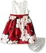 Gymboree Girls' Toddler Floral Holiday Dress