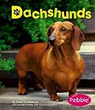 Dachshunds