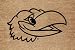 Kansas Flocked Door Mat