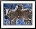 Cow on a Graveyard Headstone near an Oromo village, Ethiopia Framed Art Poster Print by Janis Miglavs, 39x31