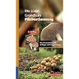Produkt-Information 