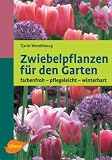 Zwiebelpflanzen für den Garten.