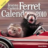 Jeanne Carley's Ferret Hotties 2010 Deluxe Wall Calendar