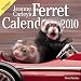 Jeanne Carley's Ferret Hotties 2010 Deluxe Wall Calendar
