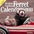 Jeanne Carley's Ferret Hotties 2010 Deluxe Wall Calendar