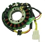250cc Stator/Magneto