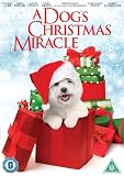 A Dog's Christmas Miracle [DVD] DVD