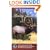 Elk Hunting Secrets