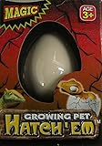 Hatch-em Hatching Dinosaur Egg