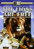 The Lions Are Free: The True Life Sequel to the Classic Born Free