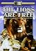 The Lions Are Free: The True Life Sequel to the Classic Born Free