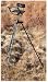 Tripod Deer Stands
51g hYFIIlL. SL75 Tripod Deer Stands