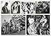 AD Skyraider Units of the Korean War (Combat Aircraft, 114)
