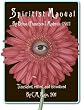 Spiritist Manual: The Secret Book by Francisco I. Madero, Translated and Introduced by C.M. Mayo