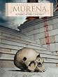 Murena - tome 8 - Revanche des cendres