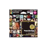 (業務用セット) スマレコプリント用 インクジェット写真用紙 L判 20枚入【×10セット】 生活用品 インテリア 雑貨 インテリア 家具 フォトスタンド アルバム [並行輸入品]