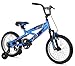 Jeep Boy's Bike, 16-Inch, Blue