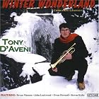 Winter Wonderland: Christmas Classics by Tony D'Aveni