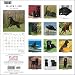 Labrador Retrievers, Black 2009 PLATO Square Wall Calendar