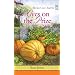 Eyes on the Prize (Tales from Grace Chapel Inn Series #12)