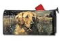 Mailwraps Golden Retriever Mailwrap