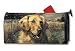 golden_retriever2golden retriever - Golden Retriever Mailwrap Magnetic Mailbox Cover