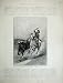 1886 Scene Rounding Up Cattle Horse Man Australia Print
