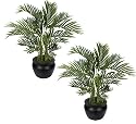 2 Artificial 20" Areca Palm Trees Tropical Silk Decor Plants Pre-Potted