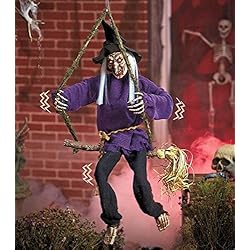 Light and Sound Animated Halloween Swinger