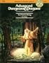 To Find a King (AD&D Fantasy Roleplaying, Module C4)